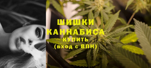 2c-b Ладушкин