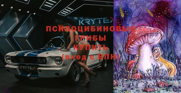 2c-b Ладушкин