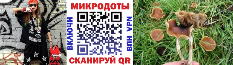 Галлюциногенные грибы MAGIC MUSHROOMS  хочу наркоту  Альметьевск 