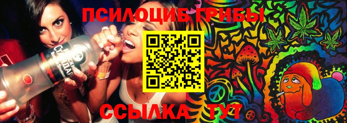 APVP Альметьевск